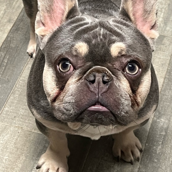 Meet your Posher, Chris - Picture 8 of 8